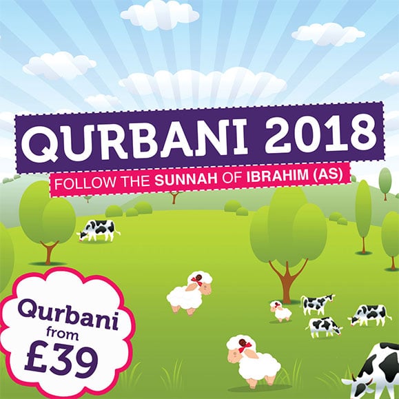 Give Qurbani to Crisis Aid - Crisis Aid