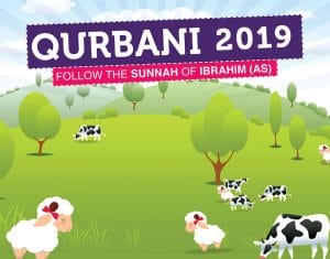 Qurbani Udhiya 2019