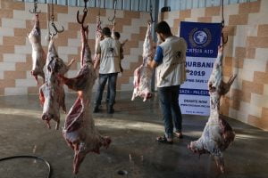 Qurbani Gaza 2019