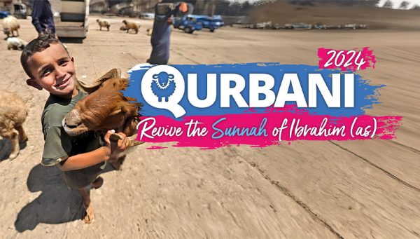Qurbani 2024 - Crisis Aid